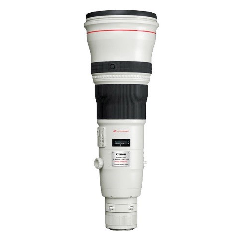 Canon RF 800mm F5.6L IS USM