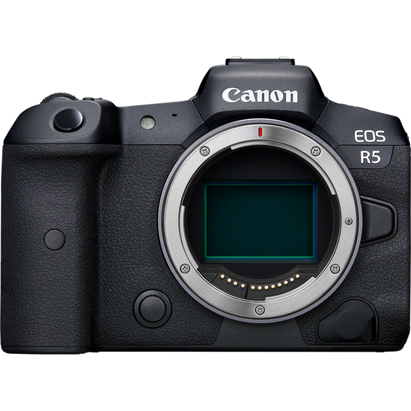 DSLR & Mirrorless Cameras